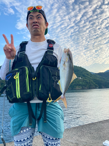 ショゴの釣果