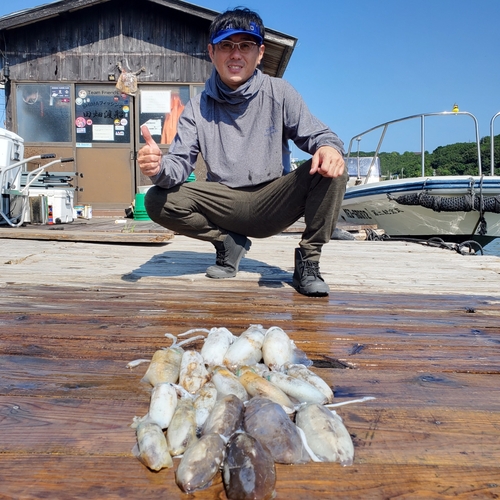 アオリイカの釣果