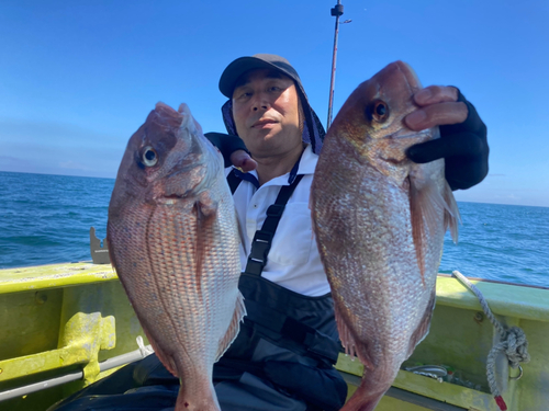 マダイの釣果