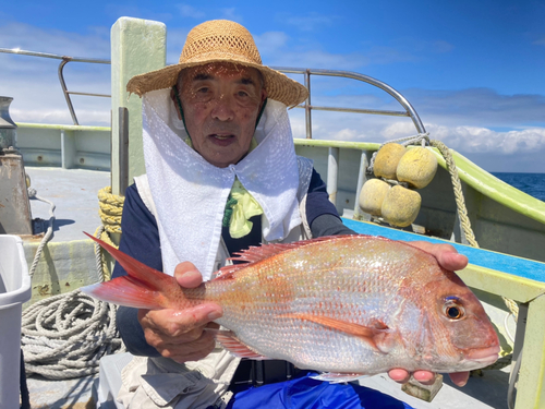 マダイの釣果