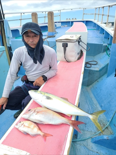 ワラサの釣果