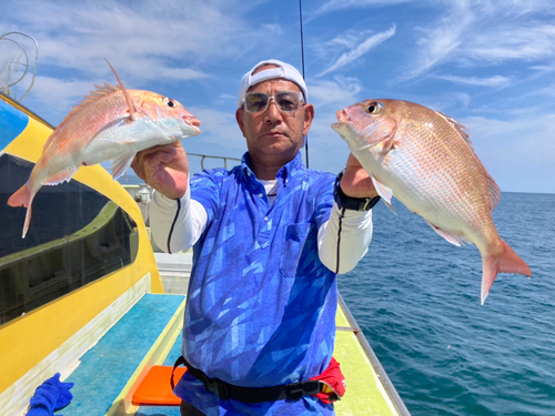 マダイの釣果