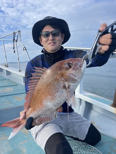 マダイの釣果