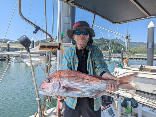 タイの釣果