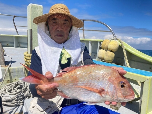 マダイの釣果