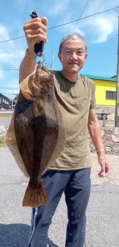 ヒラメの釣果