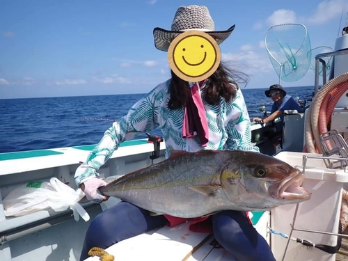 カンパチの釣果