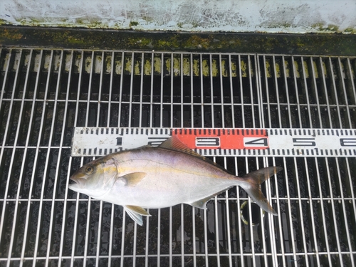 新地町海釣り公園