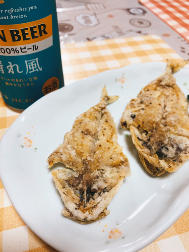 サバの釣果