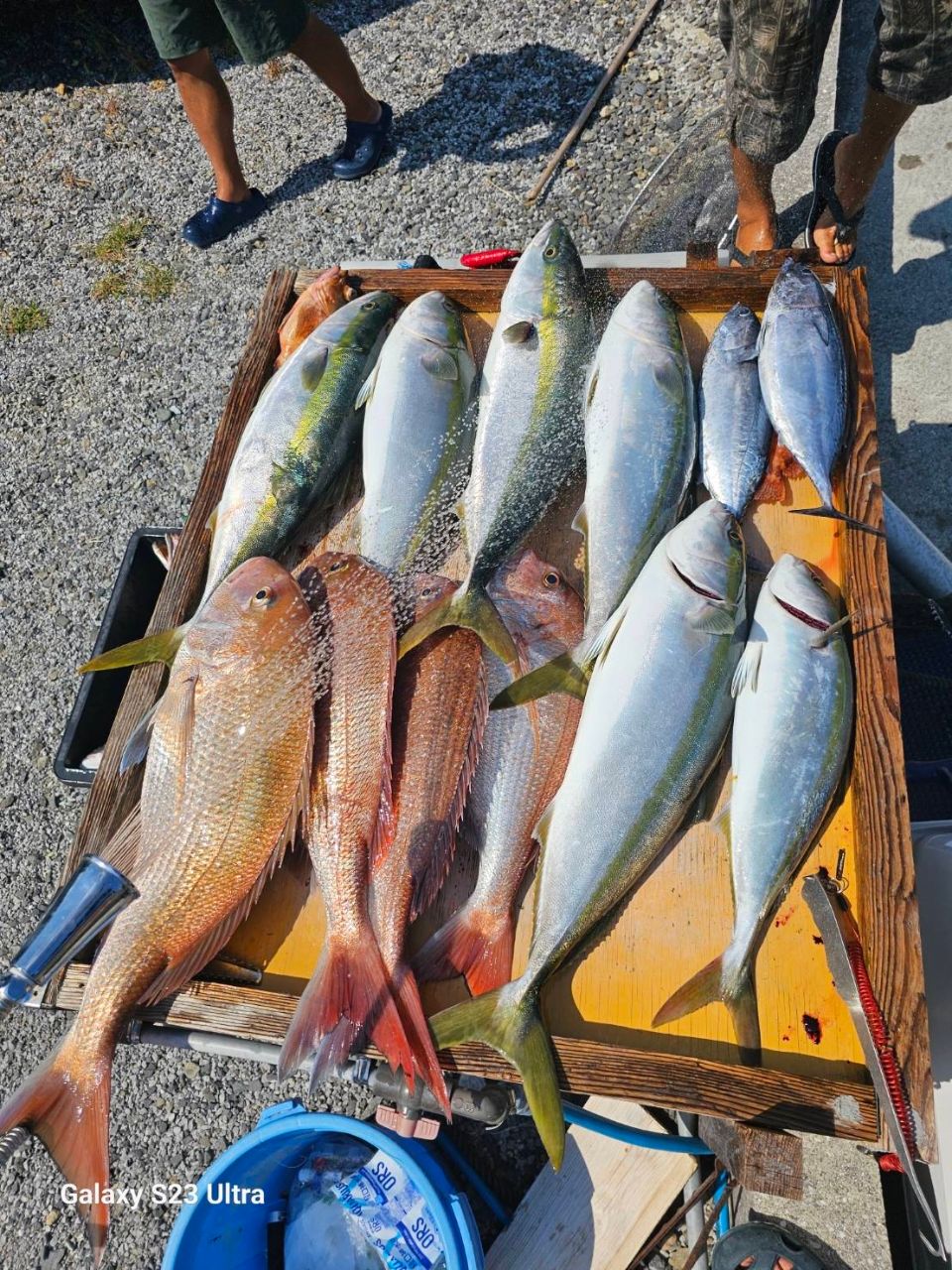 あきと！さんの釣果 1枚目の画像