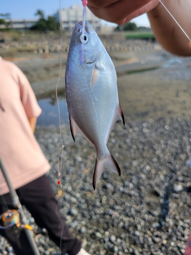 釣果