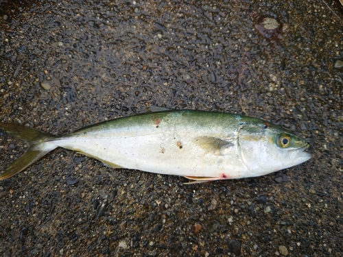 長部漁港公園