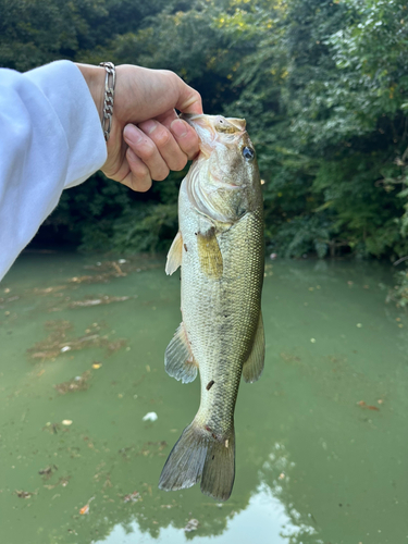 相模湖公園前