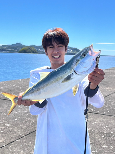 イナダの釣果