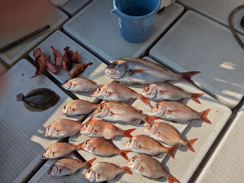 タイの釣果