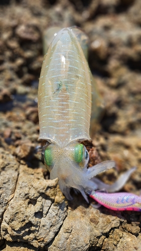 笠浦漁港