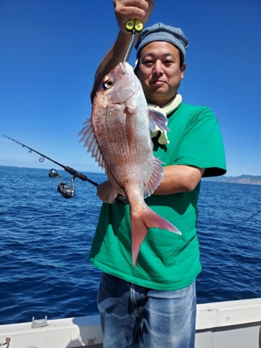 マダイの釣果