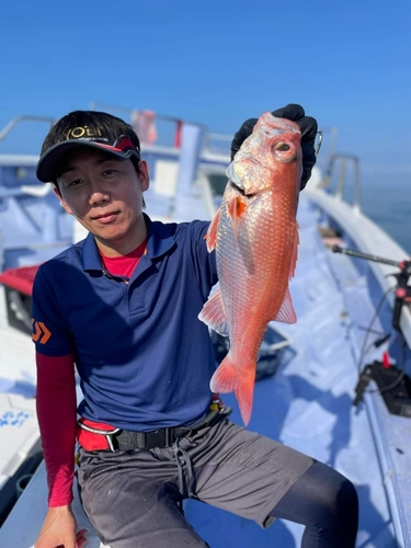 アカムツの釣果