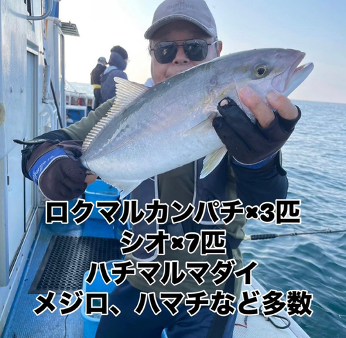 カンパチの釣果