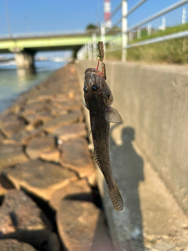 碧南海釣り公園