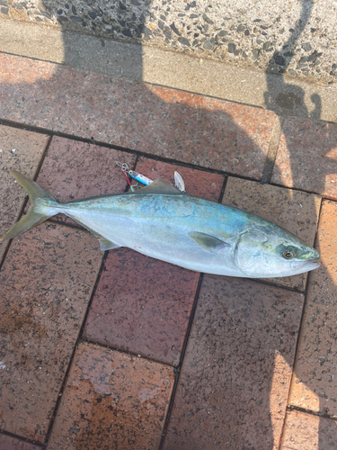 日明海峡釣り公園