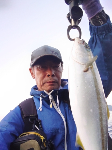 ツバスの釣果