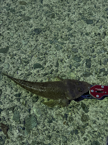 浜田マリン大橋