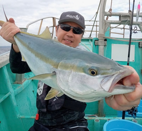 ワラサの釣果