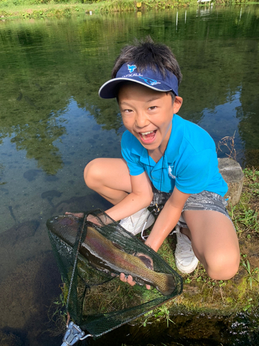 トラウトの釣果