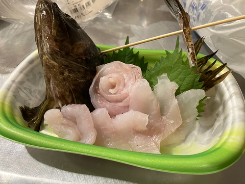 タケノコメバルの釣果