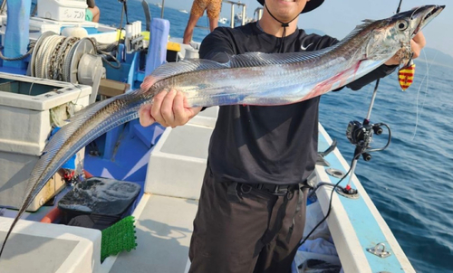 タチウオの釣果