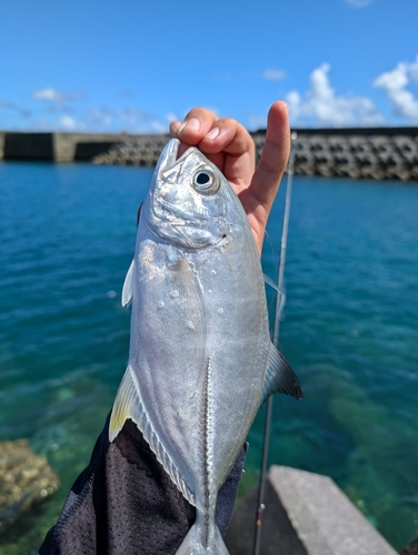 沖縄本島北部