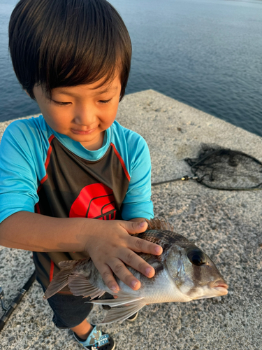 メイチダイの釣果