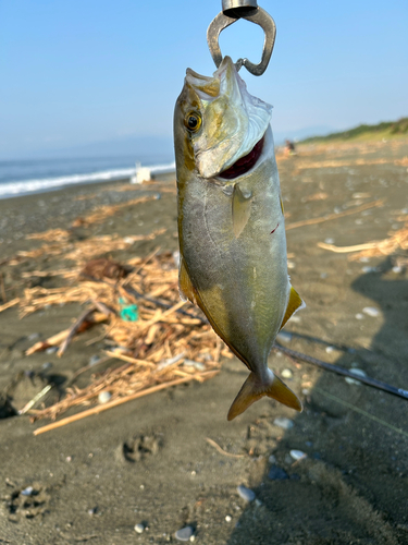 大磯海岸