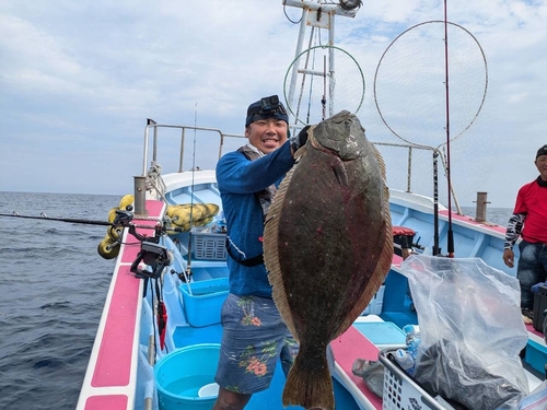 ヒラメの釣果