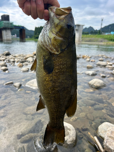 スモールマウスバスの釣果