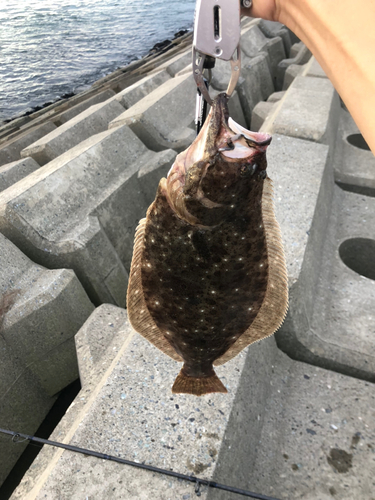 三陸海岸（青森）