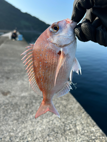 北福浦漁港