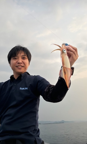 シロイカの釣果