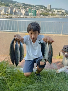 ソウダガツオの釣果