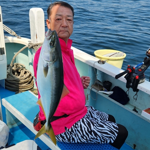 イナダの釣果