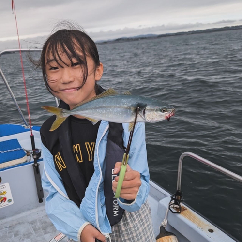 イナダの釣果