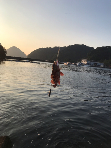 行野浦漁港