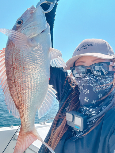 タイの釣果