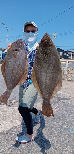 ヒラメの釣果