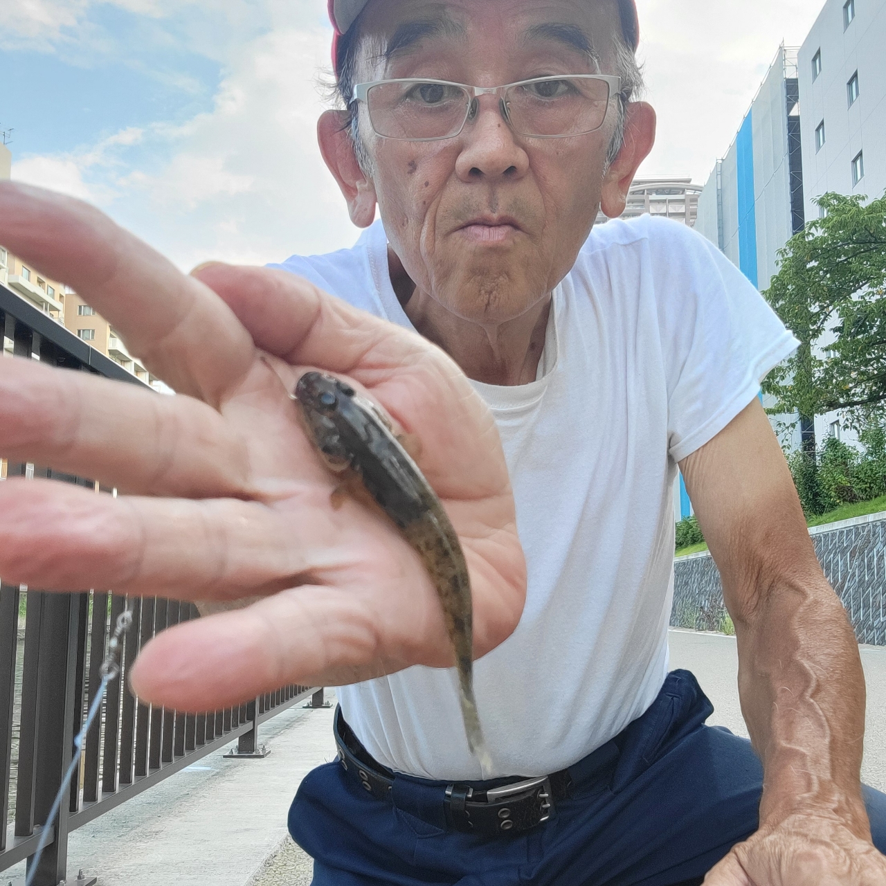 マハゼ