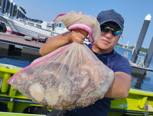 マダコの釣果