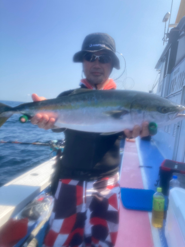 ワラサの釣果