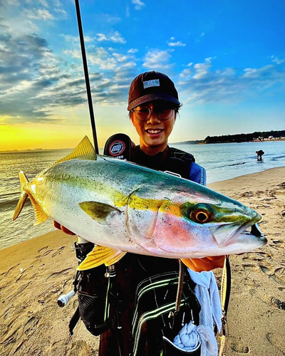 イナダの釣果