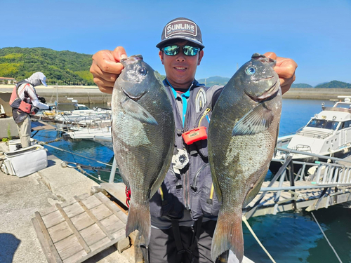 クチブトグレの釣果